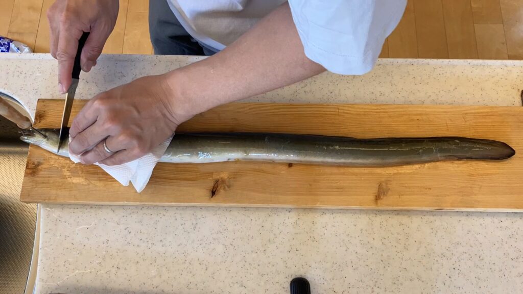 素人でもできる天然うなぎの捌き方 - unagi-note.com
