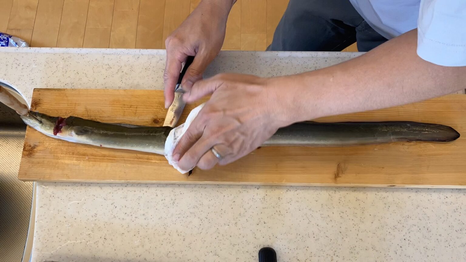 フナのさばき方 – フナ釣り 仕掛け : イサキのさばき方 – TPNRQI