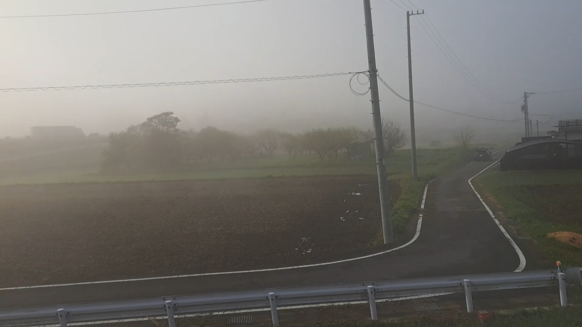 朝霧の中の田園風景
