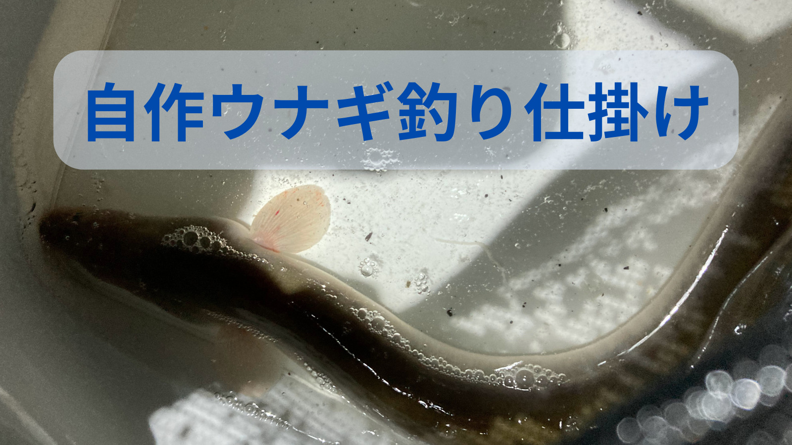 自作ウナギ釣り仕掛け