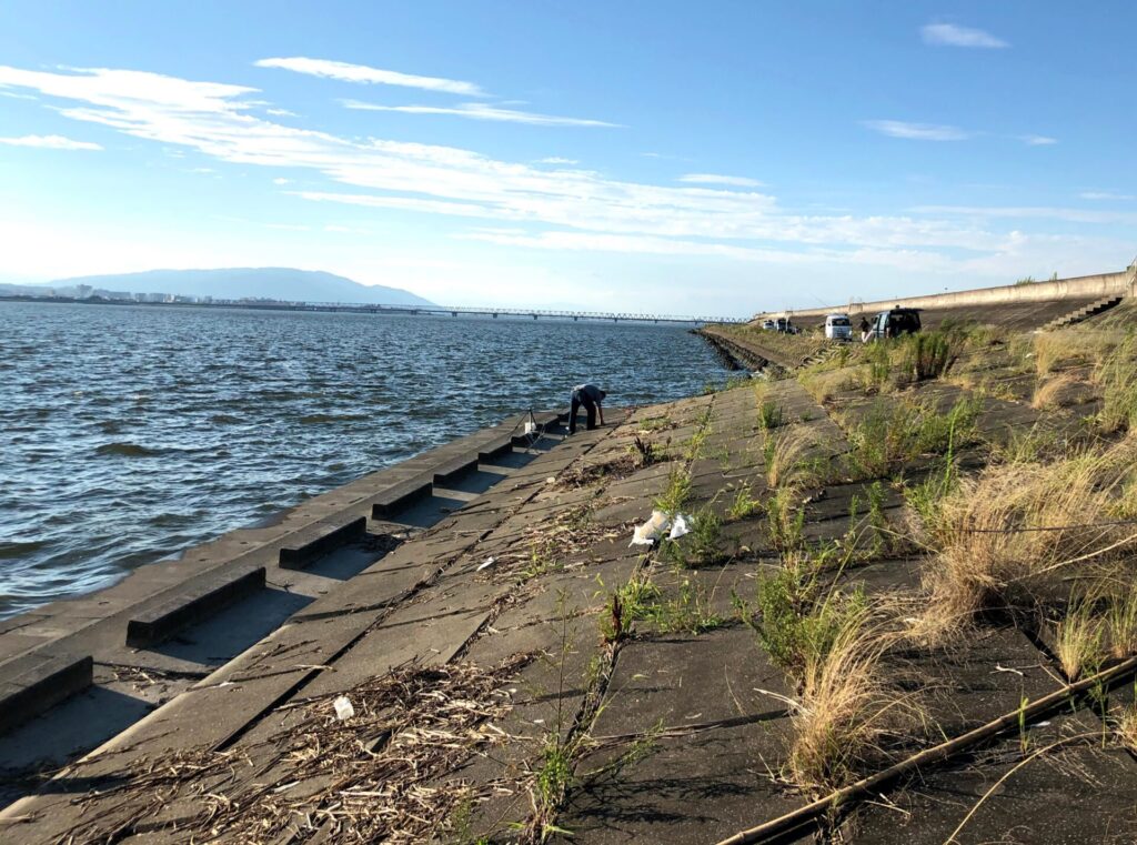 大河川河口域