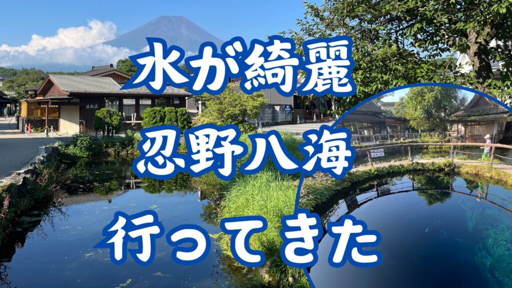 【忍野八海観光ガイド】富士山と湧水の絶景スポットをめぐる旅