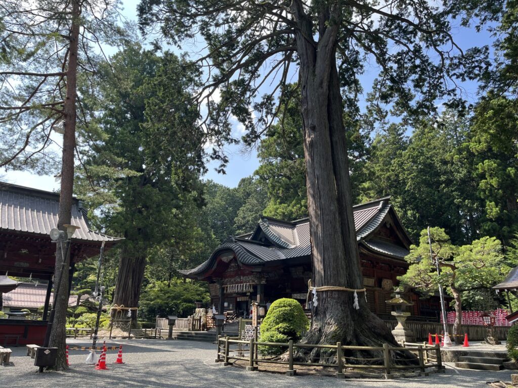 北口本宮冨士浅間神社
夫婦桧