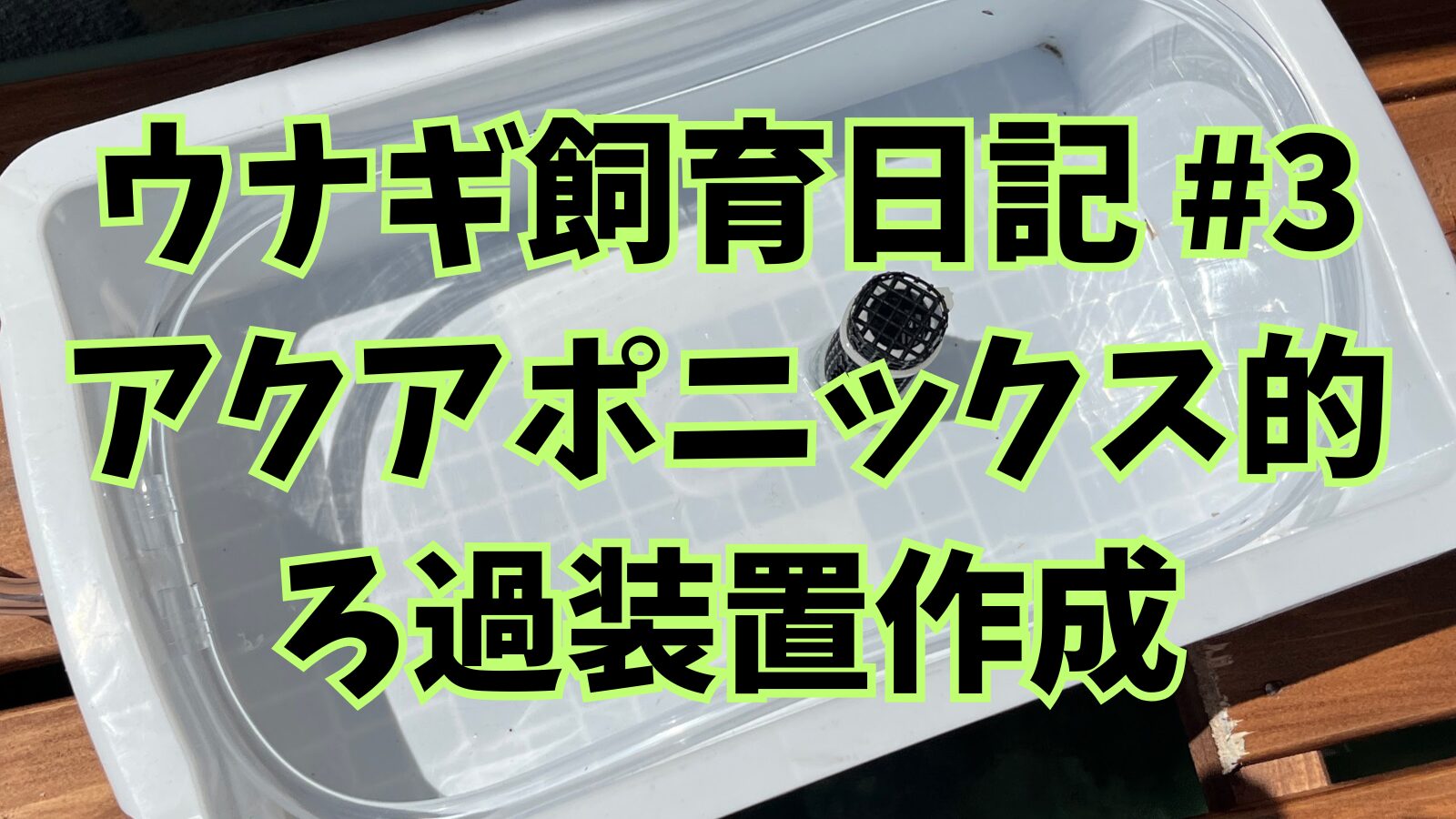 ウナギ飼育日記 #3 アクアポニックス的 ろ過装置作成