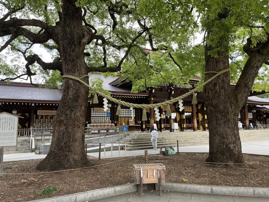 夫婦楠