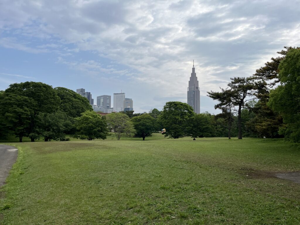 広大ない芝生広場