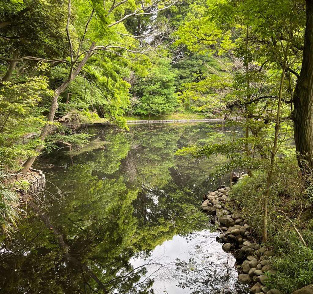 静かな北池