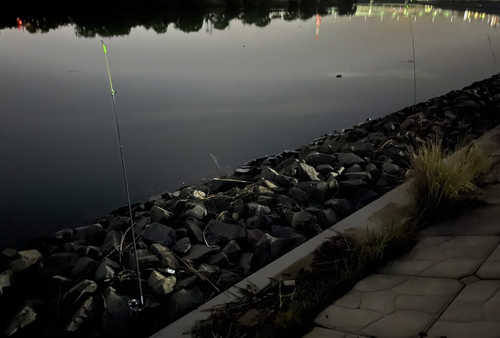 釣り場