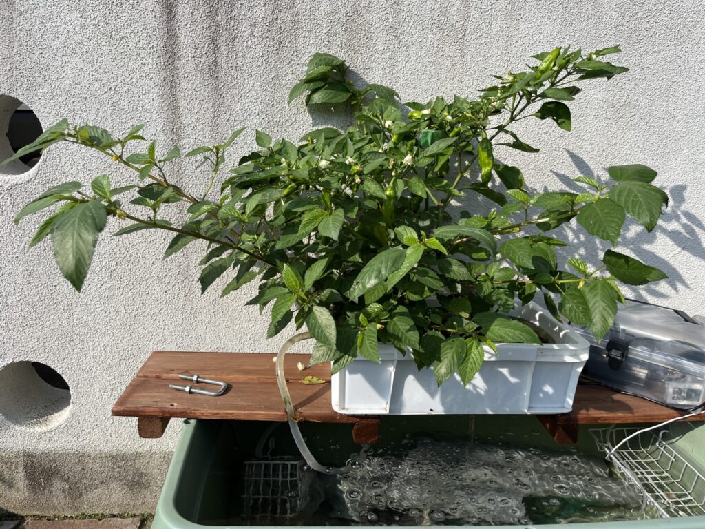 6.27