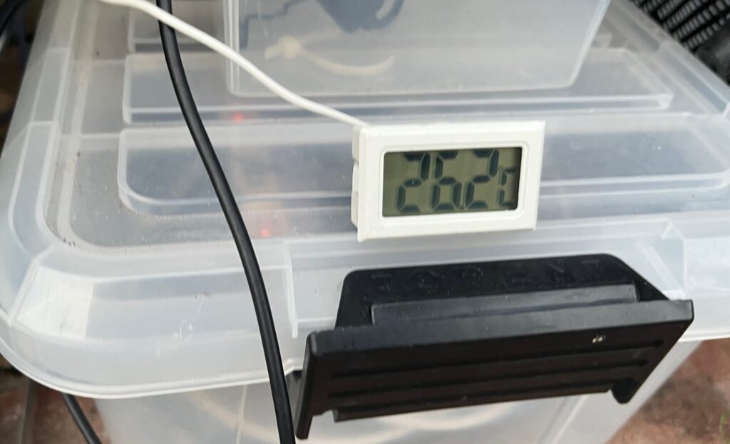 7月下旬、日中が37度の猛暑日も、18時頃の水温は26度。