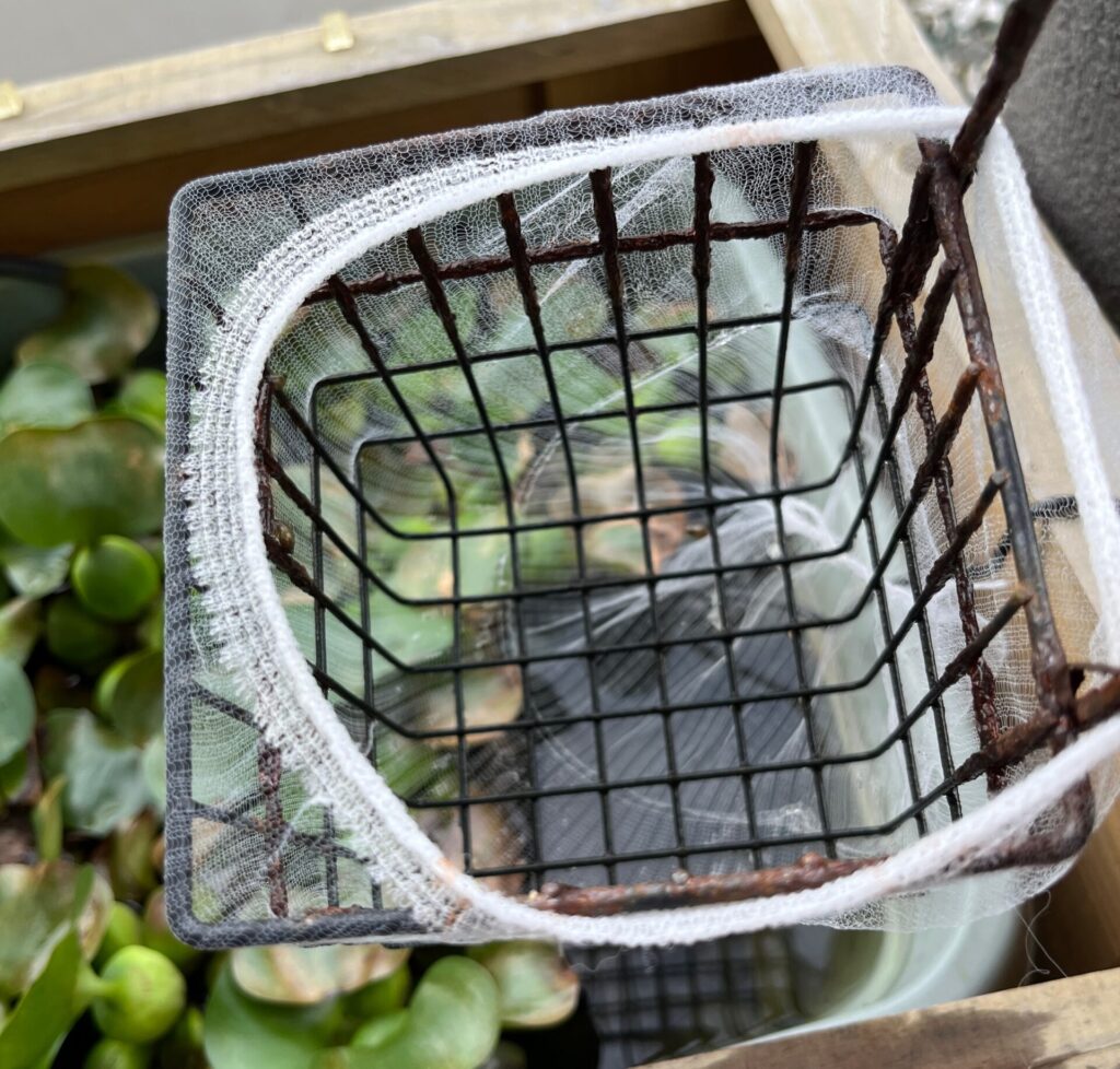 ネットを被せるだけで隔離部屋