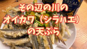 オイカワ（シラハエ）の 天ぷら