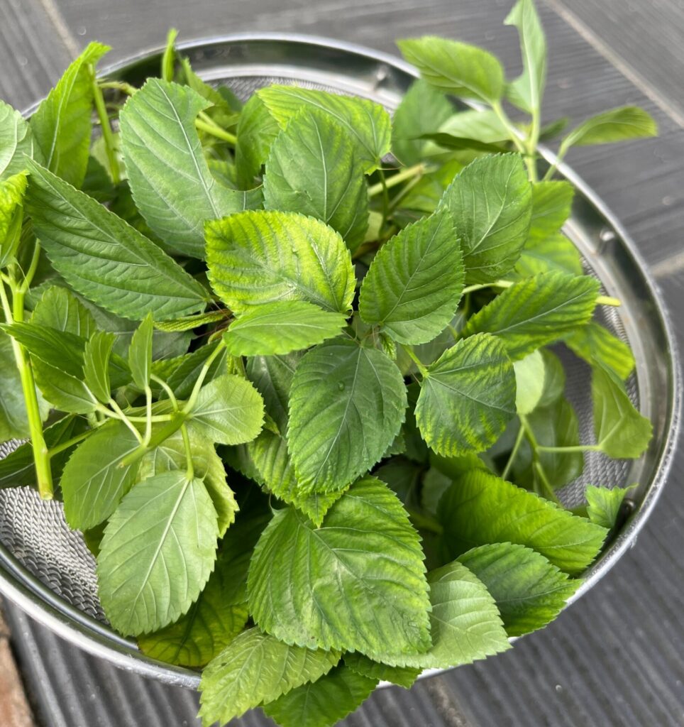 結構収穫できた。