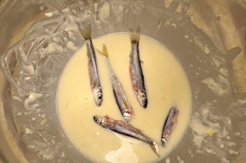 天ぷら粉にドボッと