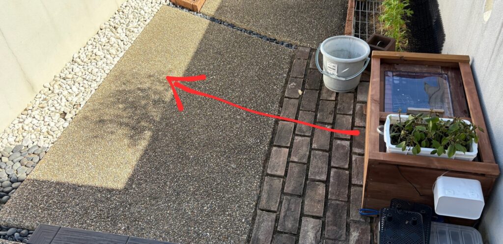 お昼前に日陰になってしまう場所から、北側の壁際へ移動