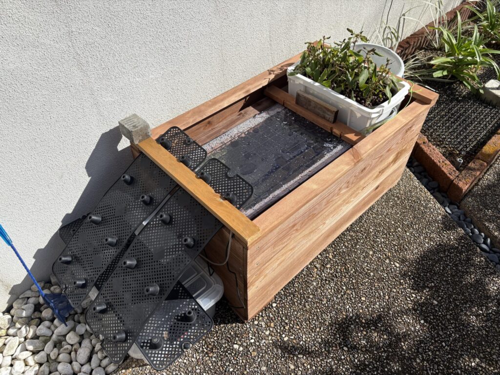 南側の壁際から、北側の壁際に移動。日当たりが格段に良くなった。