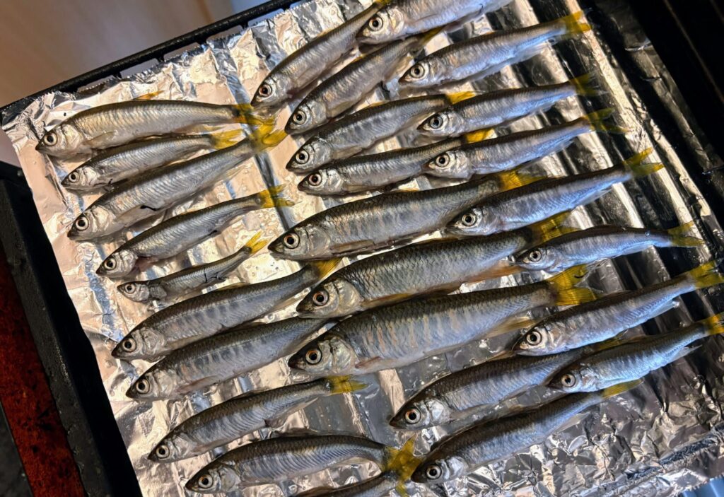 くっつかないように、並べる