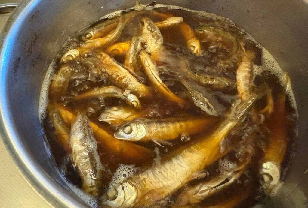 じっくりコトコト