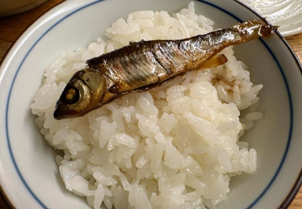 ご飯に、シラハエの甘露煮