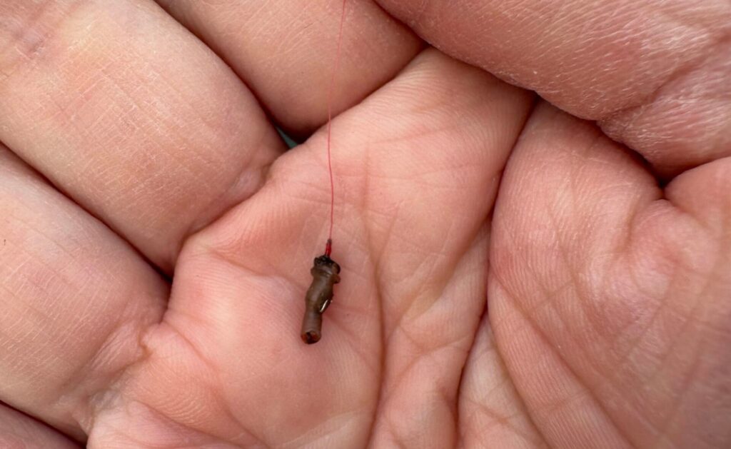 ハサミでカットして使う