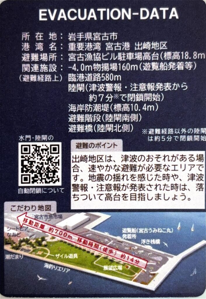 宮古市 evacuation 緊急避難カード