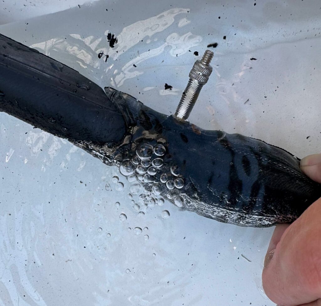 チューブの水調べ