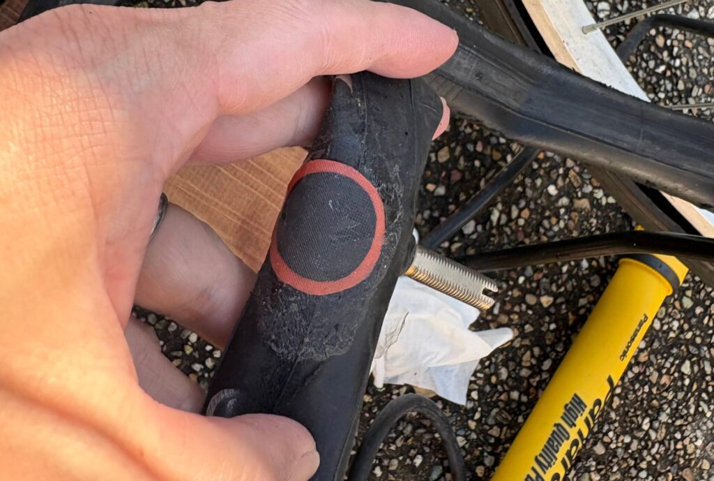 初めてにしては上出来