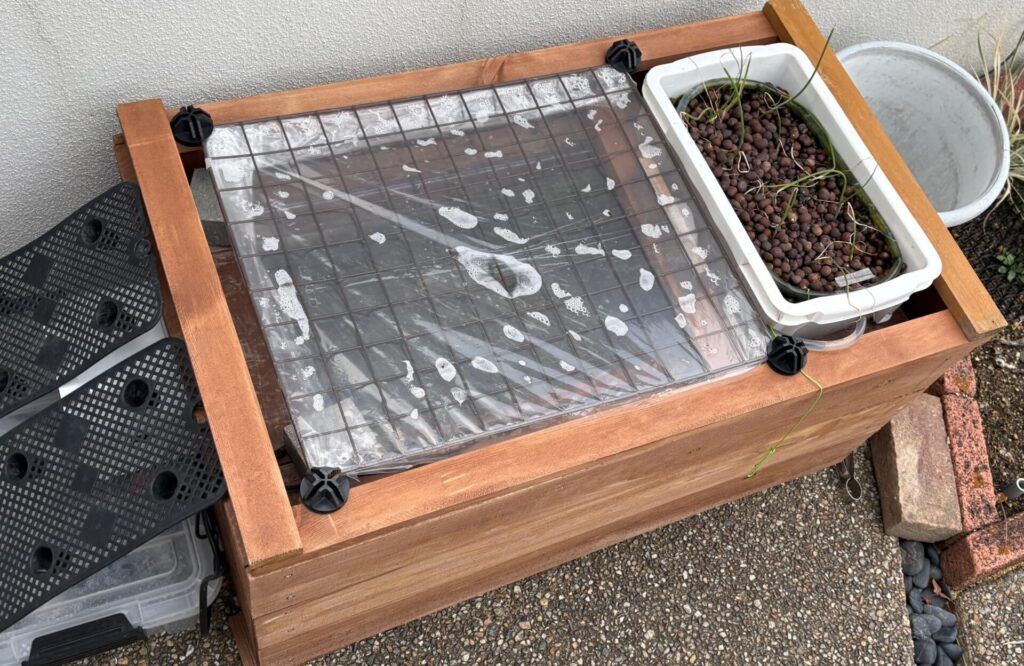 朝、水温がある程度保てているので、いつもビニールの内側に水滴がつく