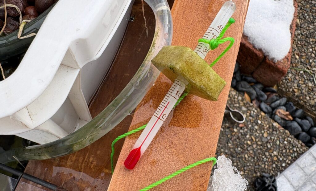 朝の水温は８℃。ちょっと低くて冷たそうだけど頑張ってくれ。