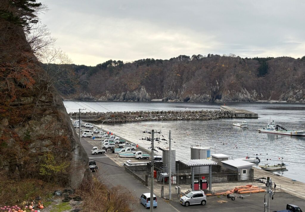 防潮堤の上から、田老漁港　左側の崖に、津波プレートがある