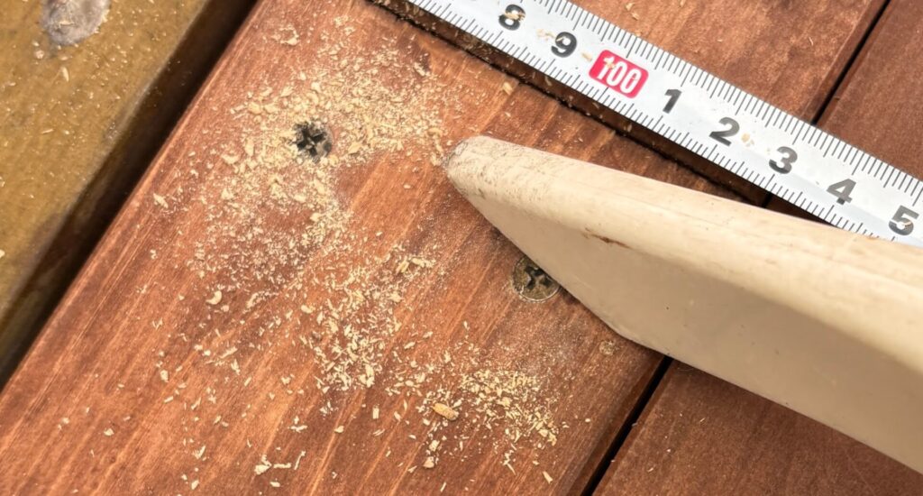 ビズの頭はきれいに収める