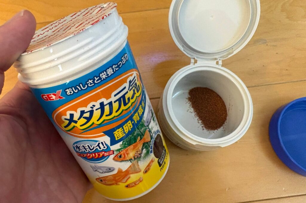 ビオトープから、メダカの餌をとってきた
