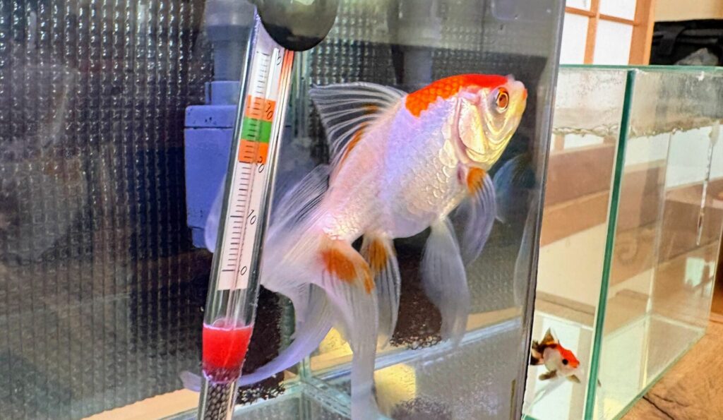 いよいよ合流