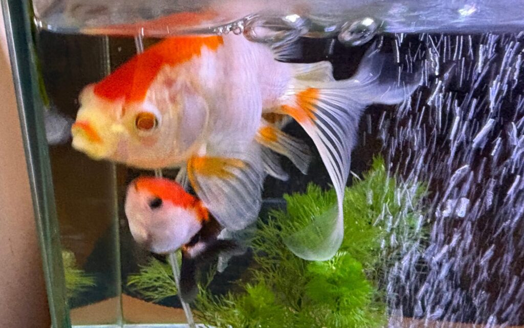 とりあえず、無事に合流完了