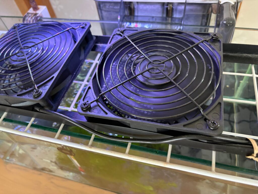 強力ダブルファン(Amazonで購入)