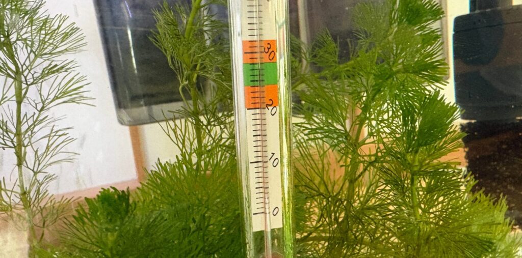 30分後、3℃低下。
