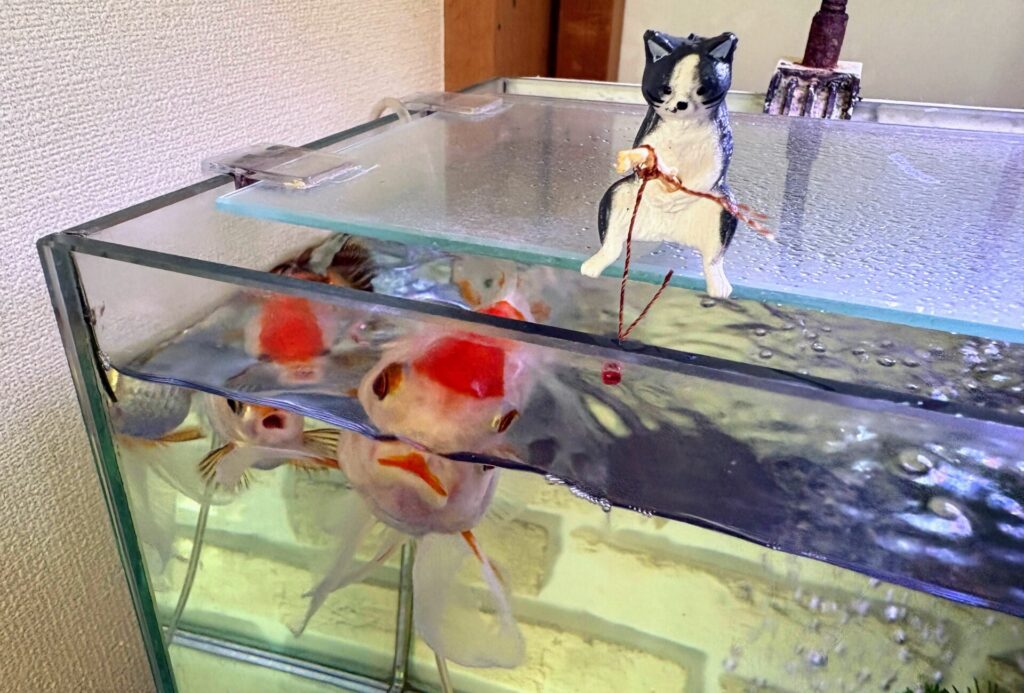 水槽オブジェがかわいい。
