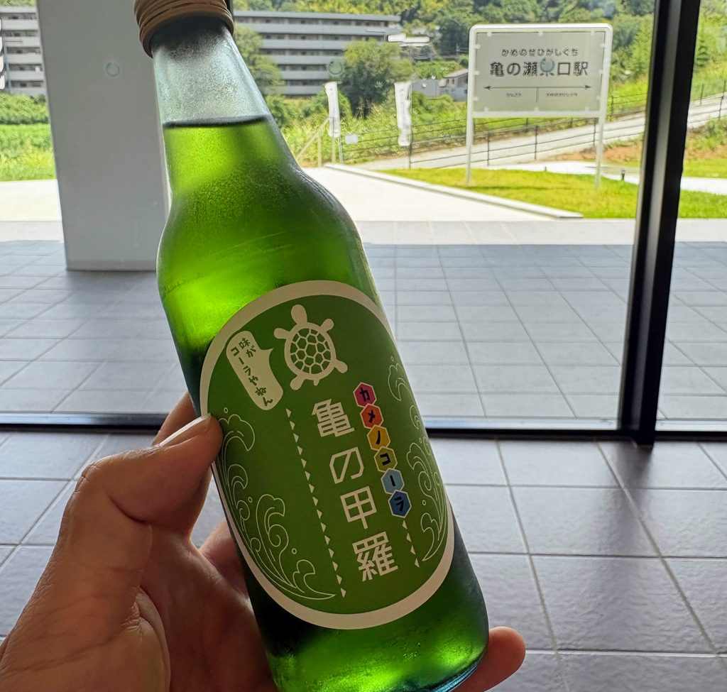 亀の甲羅